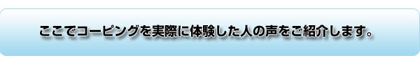 ����ł́A�����ŃR�[�s���O�����ۂɑ̌������l�̐������Љ�܂��B