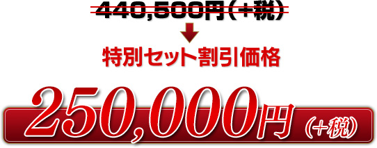 250,000円（＋税）