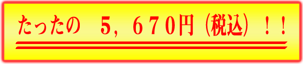 �������́@�T�C�U�V�O�~�i�ō��j�I�I