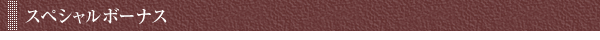 スペシャルボーナス