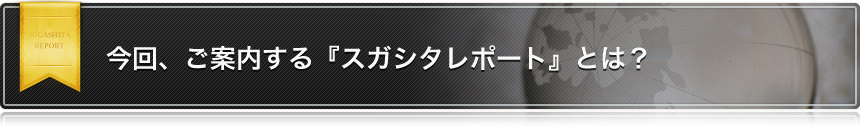 今回、ご案内する『スガシタレポート』とは?
