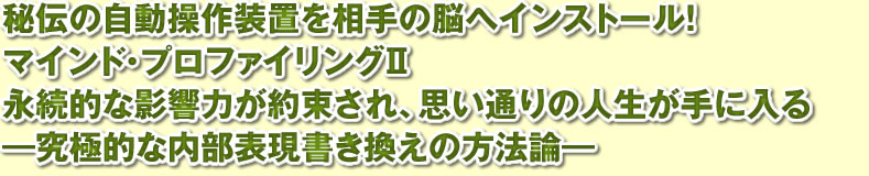 マインド・プロファイリングII～究極的な内部表現書き換えの方法論～