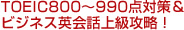 TOEIC800～990点対策＆ビジネス英会話上級攻略！