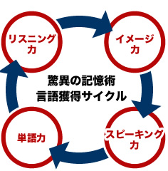 驚異の記憶術言語獲得サイクル