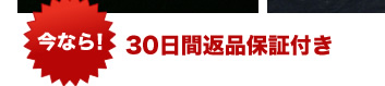 30日間返品保証付き