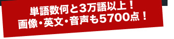 単語数何と3万語以上！画像・英文・音声も5700点！