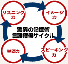 驚異の記憶術言語獲得サイクル