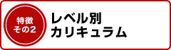 レベル別カリキュラム