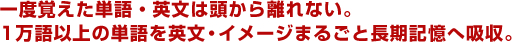 一度覚えた単語・英文は頭から離れない。1万語以上の単語を英文・イメージまるごと長期記憶へ吸収。