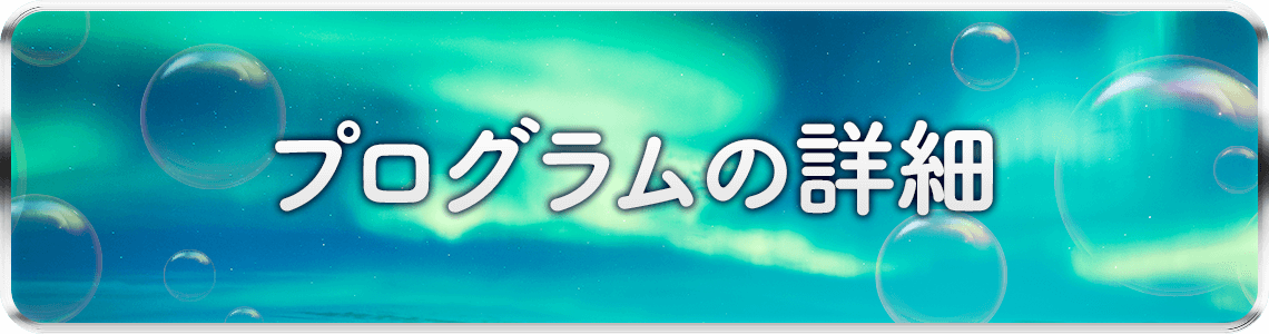 プログラム詳細