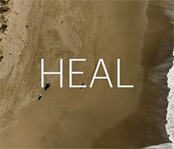 HEAL～奇跡の治癒力～　【ダウンロード版】通常価格(WV)