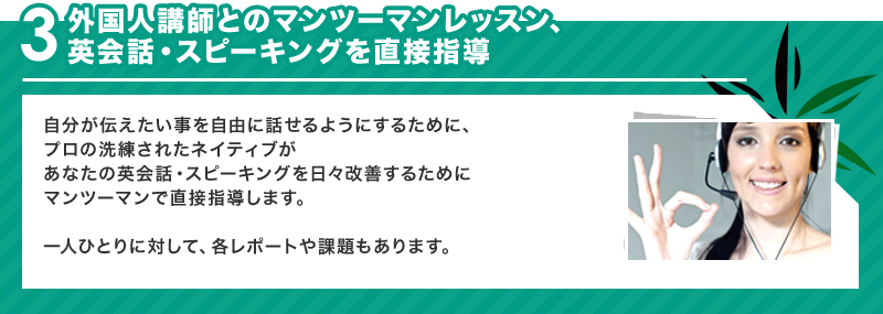 ネイティブスピーカー養成プロジェクト ③外国人講師とのマンツーマンレッスン、英会話・スピーキングを直接指導