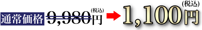 通常価格4,950円（税込）→1,100円（税込）