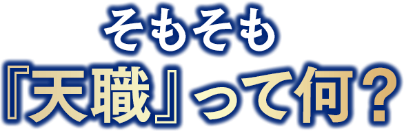 そもそも『天職』って何？