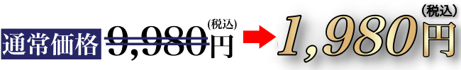 通常価格4,950円（税込）→1,100円（税込）