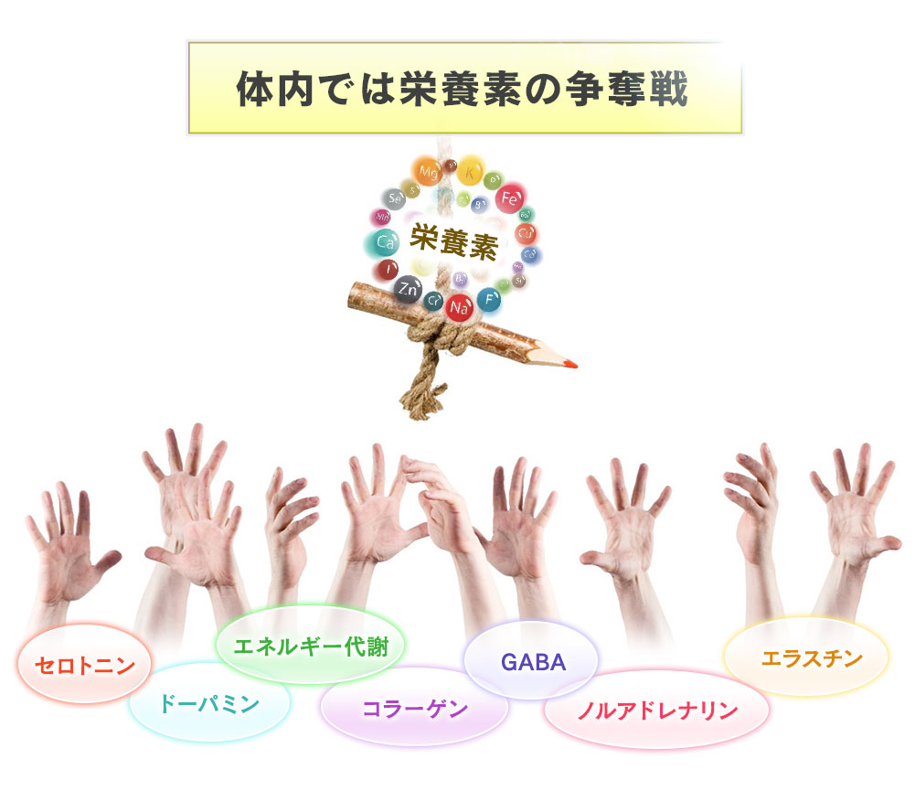 栄養の争奪戦