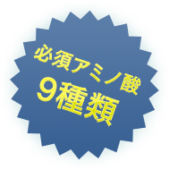 必須アミノ酸9種類