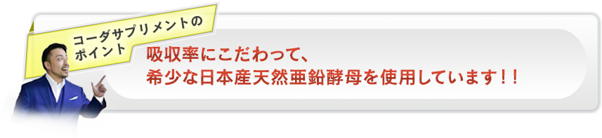 コーダサプリメントのポイント