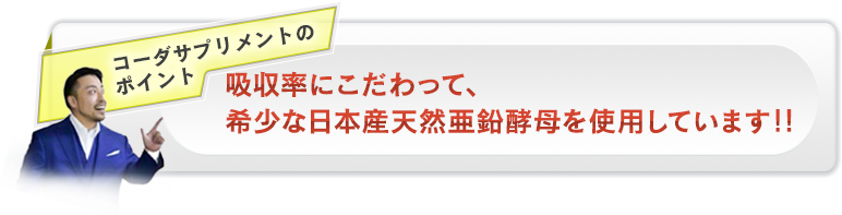 コーダサプリメントのポイント