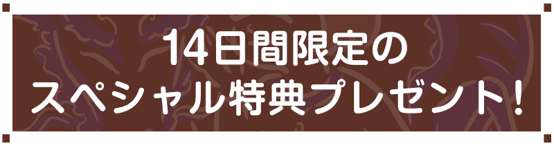 14日間限定のスペシャル特典プレゼント！