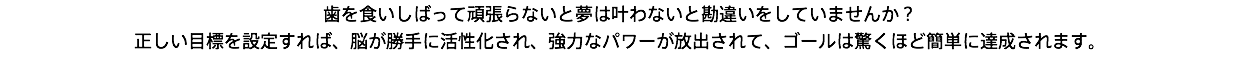 歯を食いしばって頑張らないと夢は叶わないと勘違いをしていませんか？ 正しい目標を設定すれば、脳が勝手に活性化され、強力なパワーが放出されて、ゴールは驚くほど簡単に達成されます。