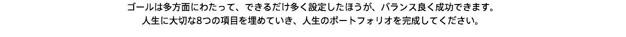 ゴールは多方面にわたって、できるだけ多く設定したほうが、バランス良く成功できます。 人生に大切な8つの項目を埋めていき、人生のポートフォリオを完成してください。