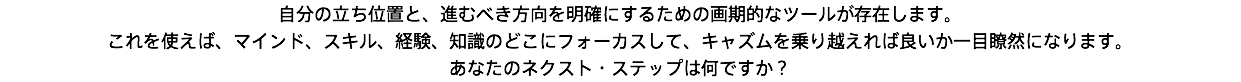 自分の立ち位置と、進むべき方向を明確にするための画期的なツールが存在します。 これを使えば、マインド、スキル、経験、知識のどこにフォーカスして、キャズムを乗り越えれば良いか一目瞭然になります。 あなたのネクスト・ステップは何ですか？