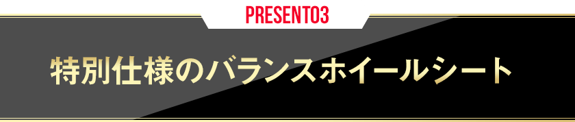◇『特別仕様のバランスホイールシート』