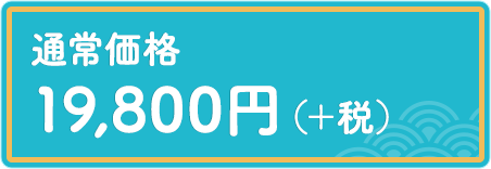 通常価格¥19,800 円（＋税）