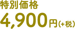 特別価格