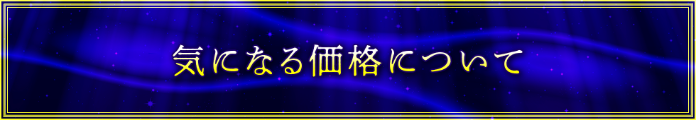 気になる価格について
