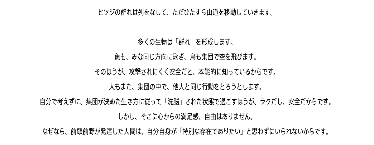 ヒツジの群れは列をなして、ただひたすら山道を移動していきます。 多くの生物は「群れ」を形成します。 魚も、みな同じ方向に泳ぎ、鳥も集団で空を飛びます。 そのほうが、攻撃されにくく安全だと、本能的に知っているからです。 人もまた、集団の中で、他人と同じ行動をとろうとします。 自分で考えずに、集団が決めた生き方に従って「洗脳」された状態で過ごすほうが、ラクだし、安全だからです。 しかし、そこに心からの満足感、自由はありません。 なぜなら、前頭前野が発達した人間は、自分自身が「特別な存在でありたい」と思わずにいられないからです。