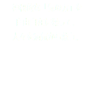 神秘的な「気の力」を 自由自在に操って、 人々を病気から救う。