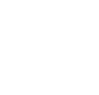 FS™️