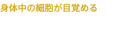 身体中の細胞が目覚める