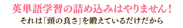 英単語学習の詰め込みはやりません！それは「頭の良さ」を鍛えているだけだから