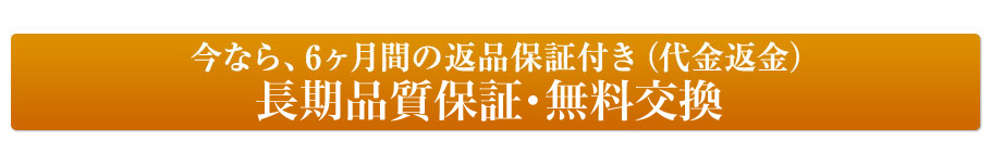 ６ヵ月の返品保証付き