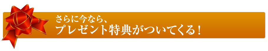 さらに今ならプレゼント特典が付いてくる！