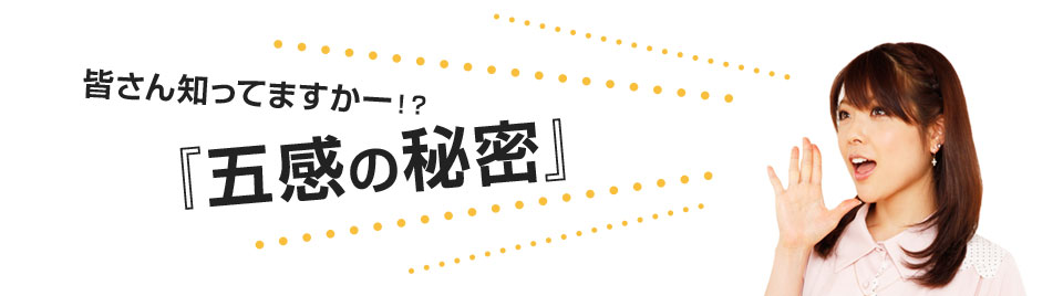 なぜ見るだけで英語力が開花されるのか？