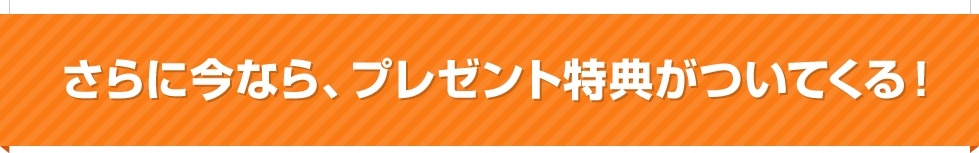 さらに今ならプレゼント特典が付いてくる！