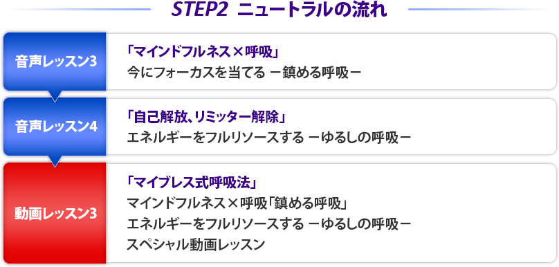 STEP2˥塼ȥή