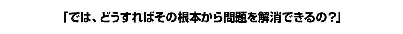 �u�ł́A�ǂ�����΂��̍��{������������ł���́H�v