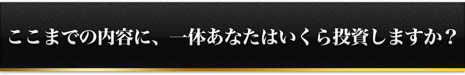 ここまでの内容に、一体あなたはいくら投資しますか？
