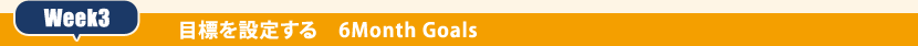 Week3：目標を設定する　6Month Goals