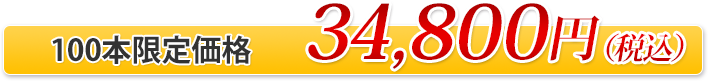100�{���艿�i�F34,800�~�i�ō��j