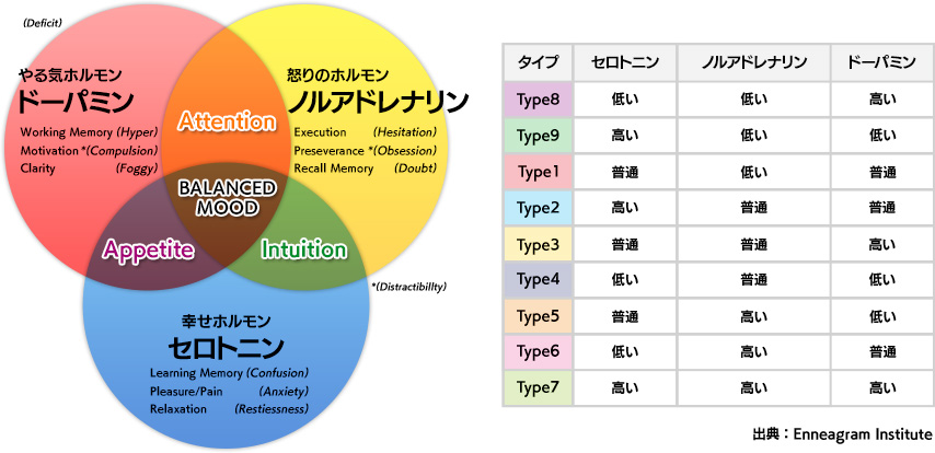 能力開発のためのエニアグラム