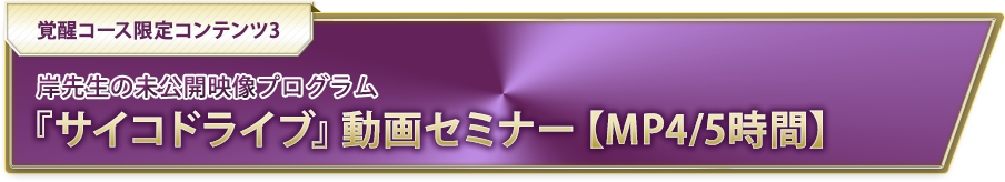 岸先生の未公開映像プログラム『サイコドライブ』動画セミナー【MP4/5時間】
