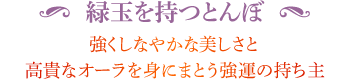 ◆ 緑玉を持つとんぼ 強くしなやかな美しさと高貴なオーラを身にまとう強運の持ち主