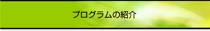 プログラムの紹介