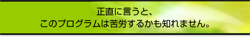 正直に言うと、このプログラムは苦労するかも知れません。